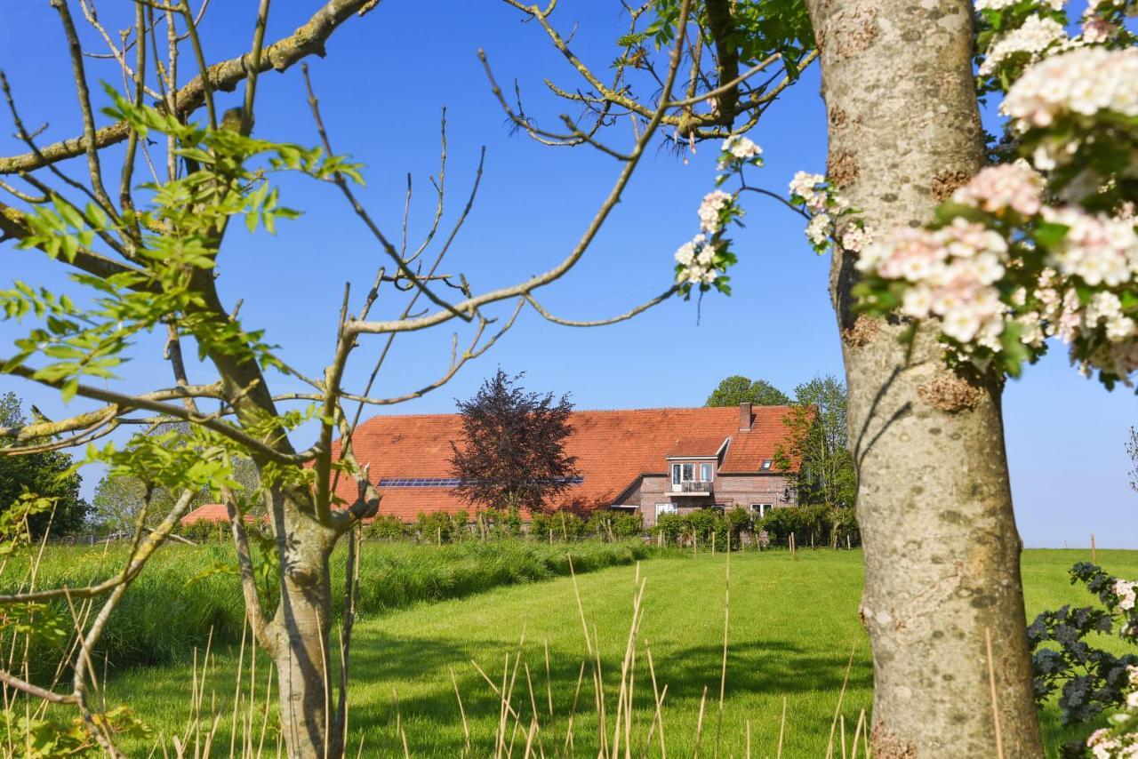 ורדום Ferienwohnungen Auf Dem Ferienhof An Der Schafweide מראה חיצוני תמונה